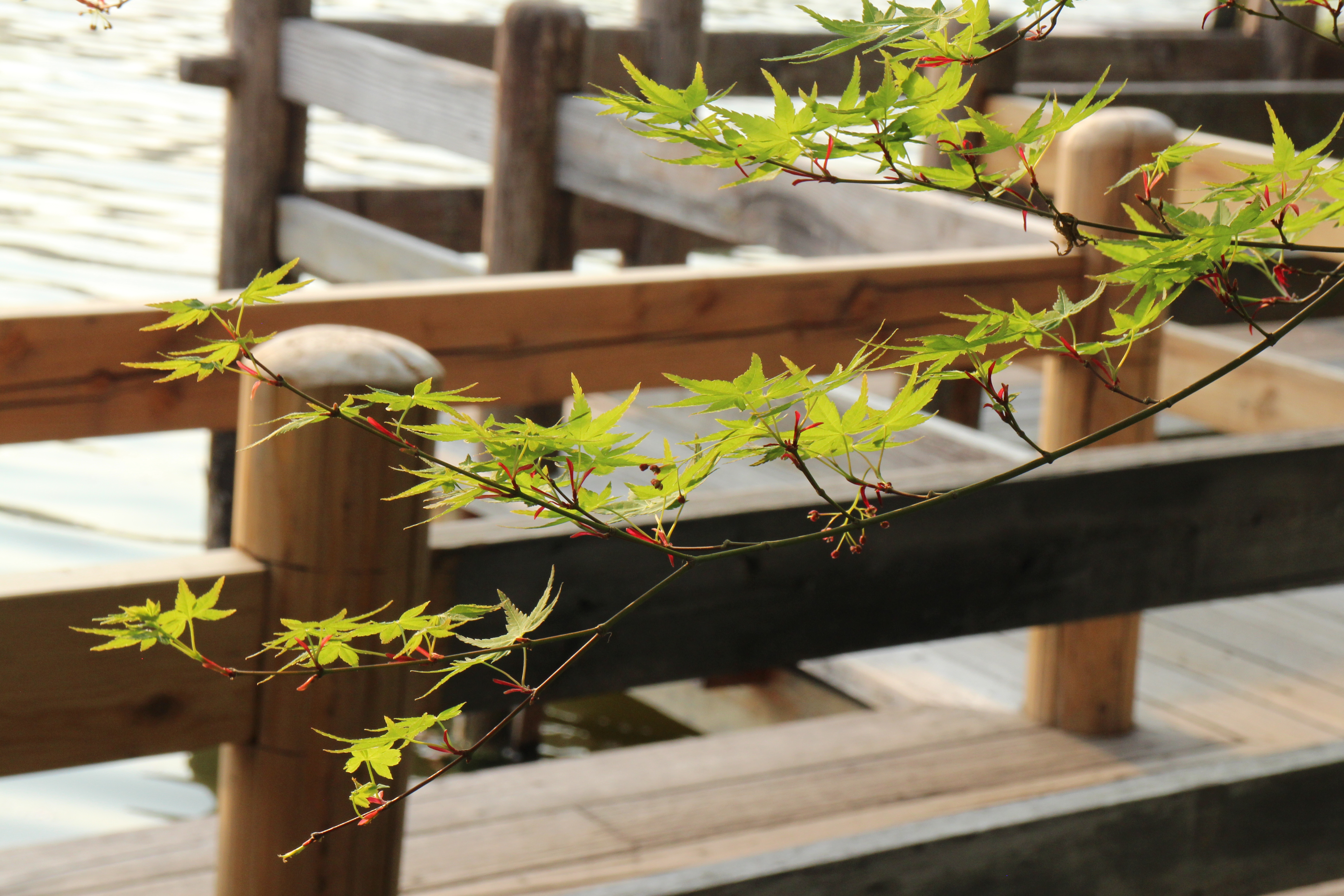 Featured image of post 笔记本清灰与固态加装