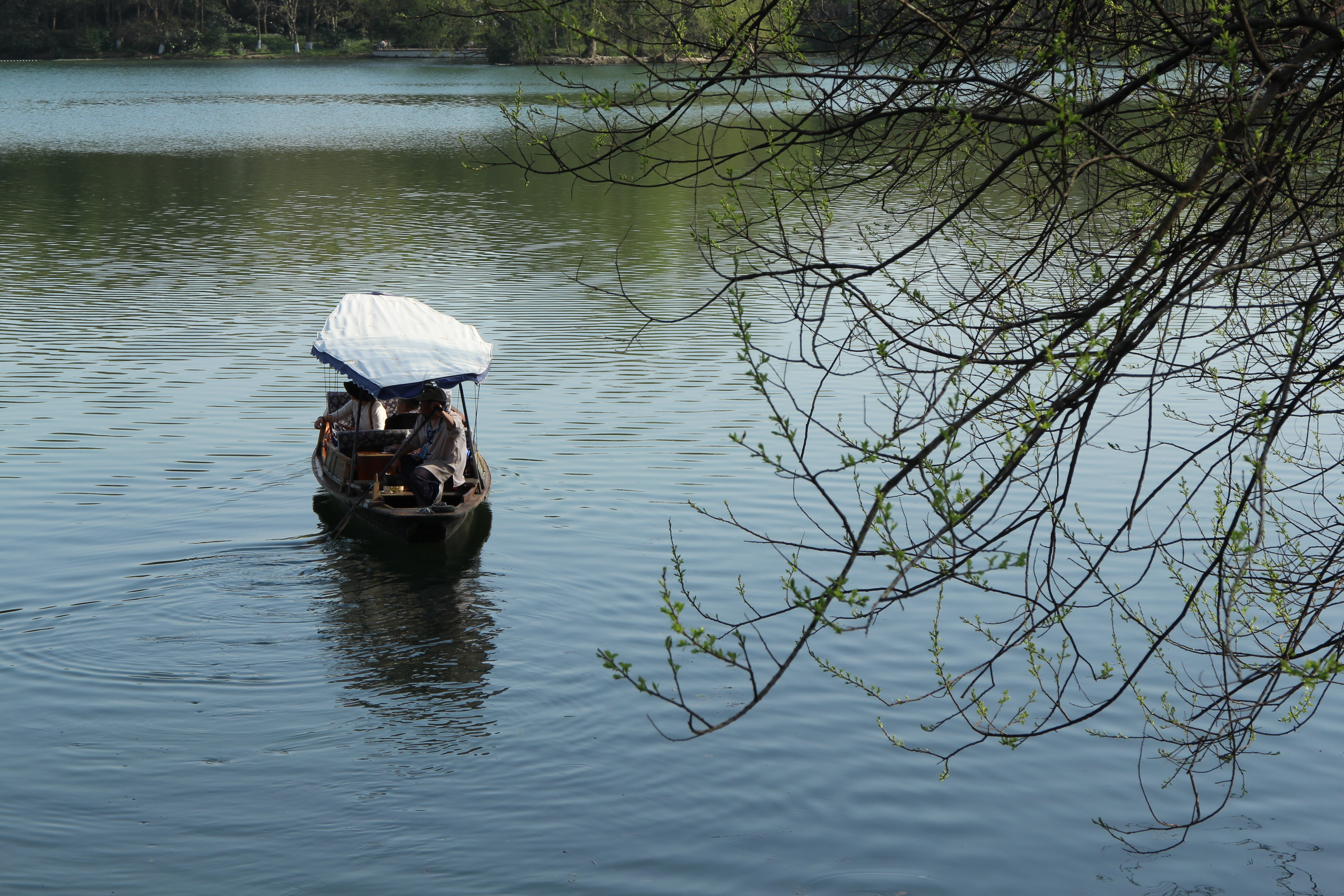 Featured image of post Arch Linux + KDE Plasma 基本设置与美化