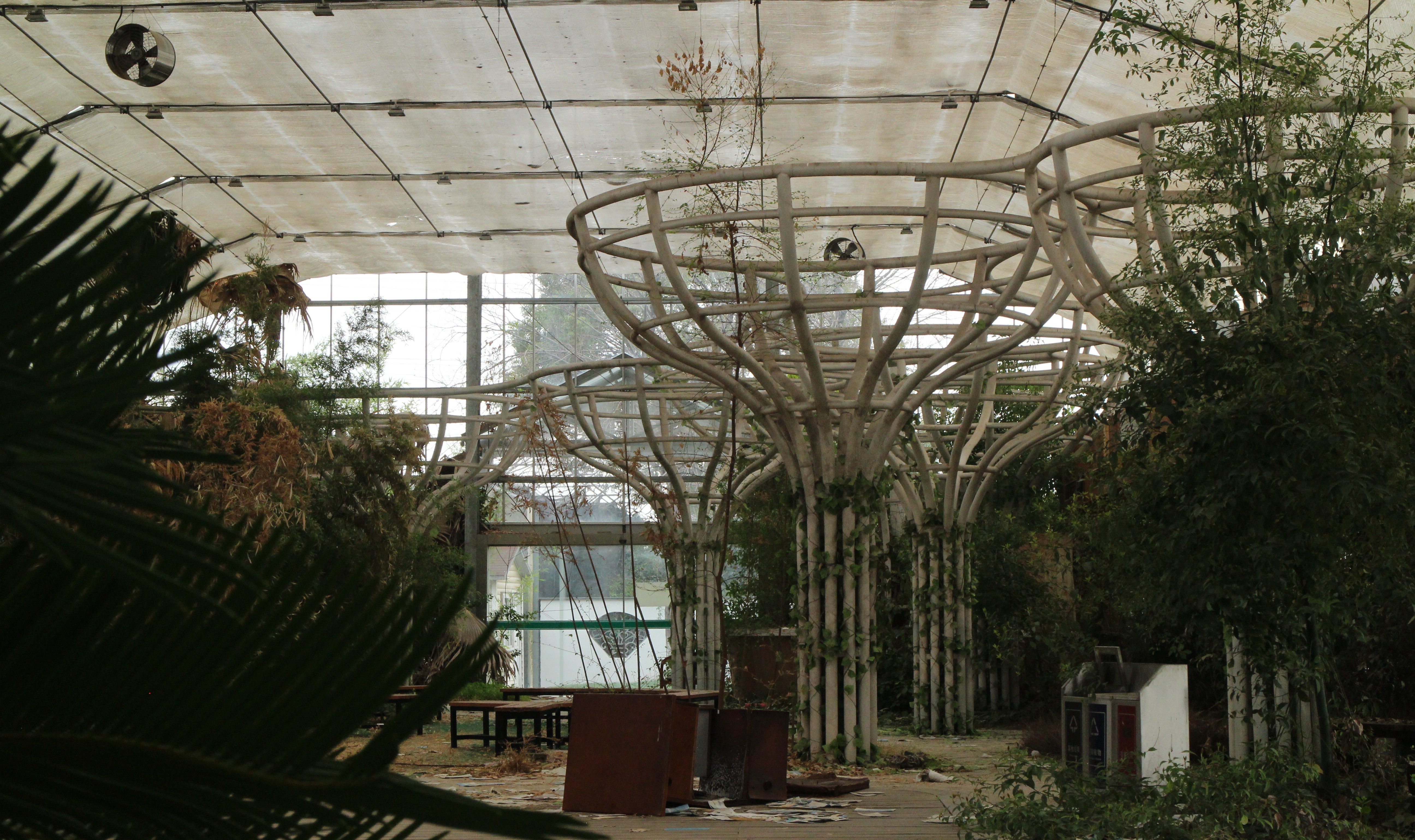 Featured image of post DNS重绑定攻击实验