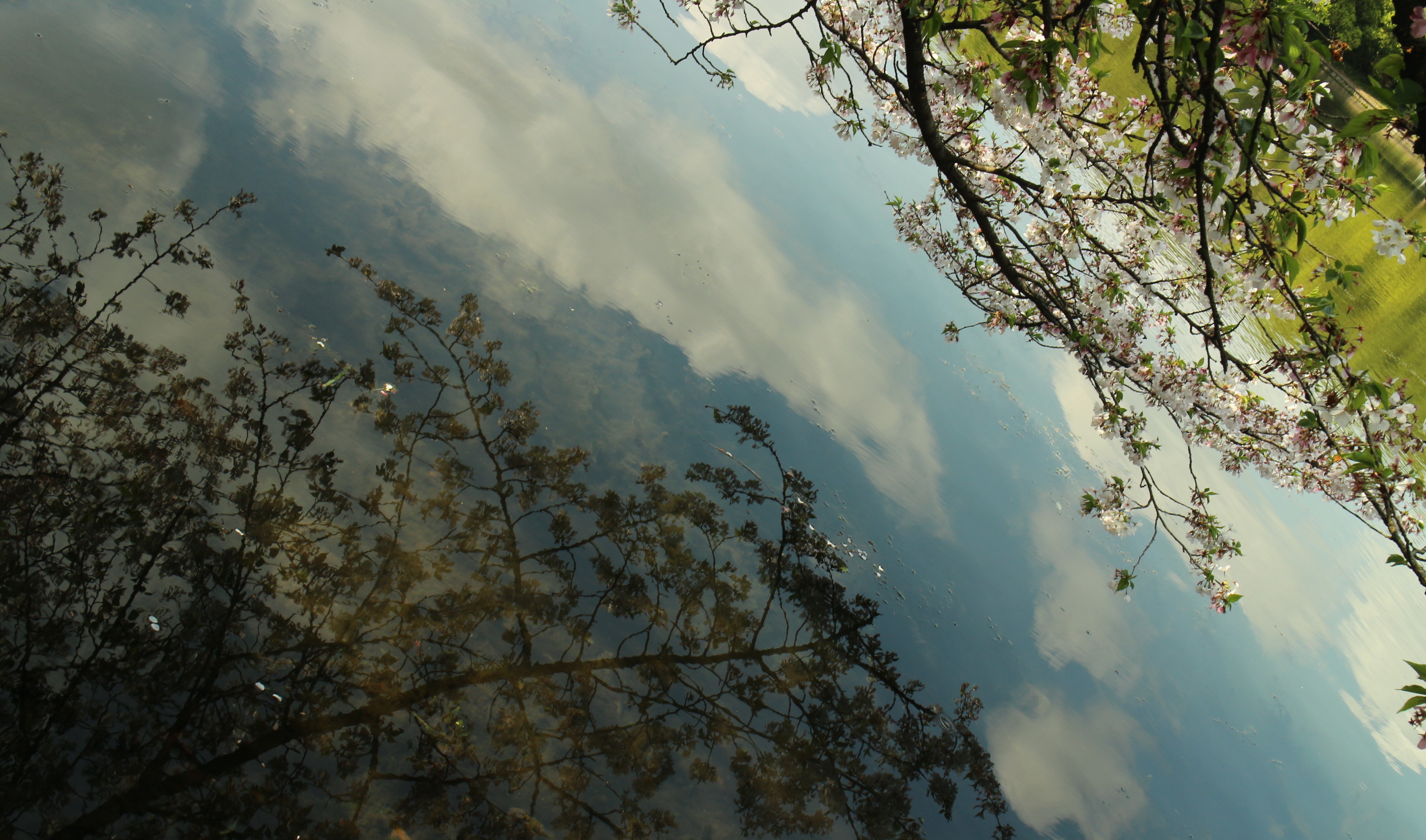 Featured image of post C语言数据结构学习