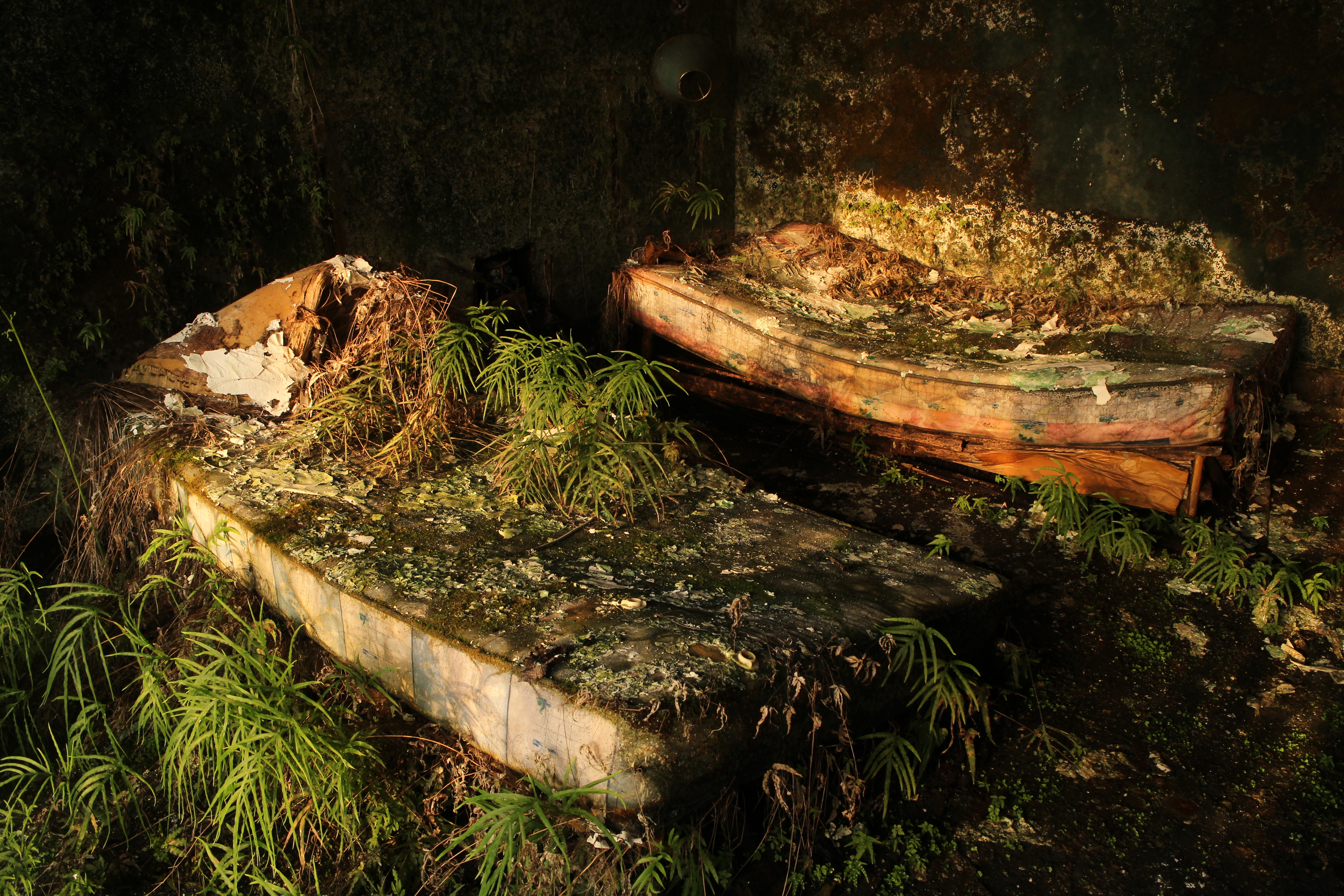 Featured image of post 城市历险记