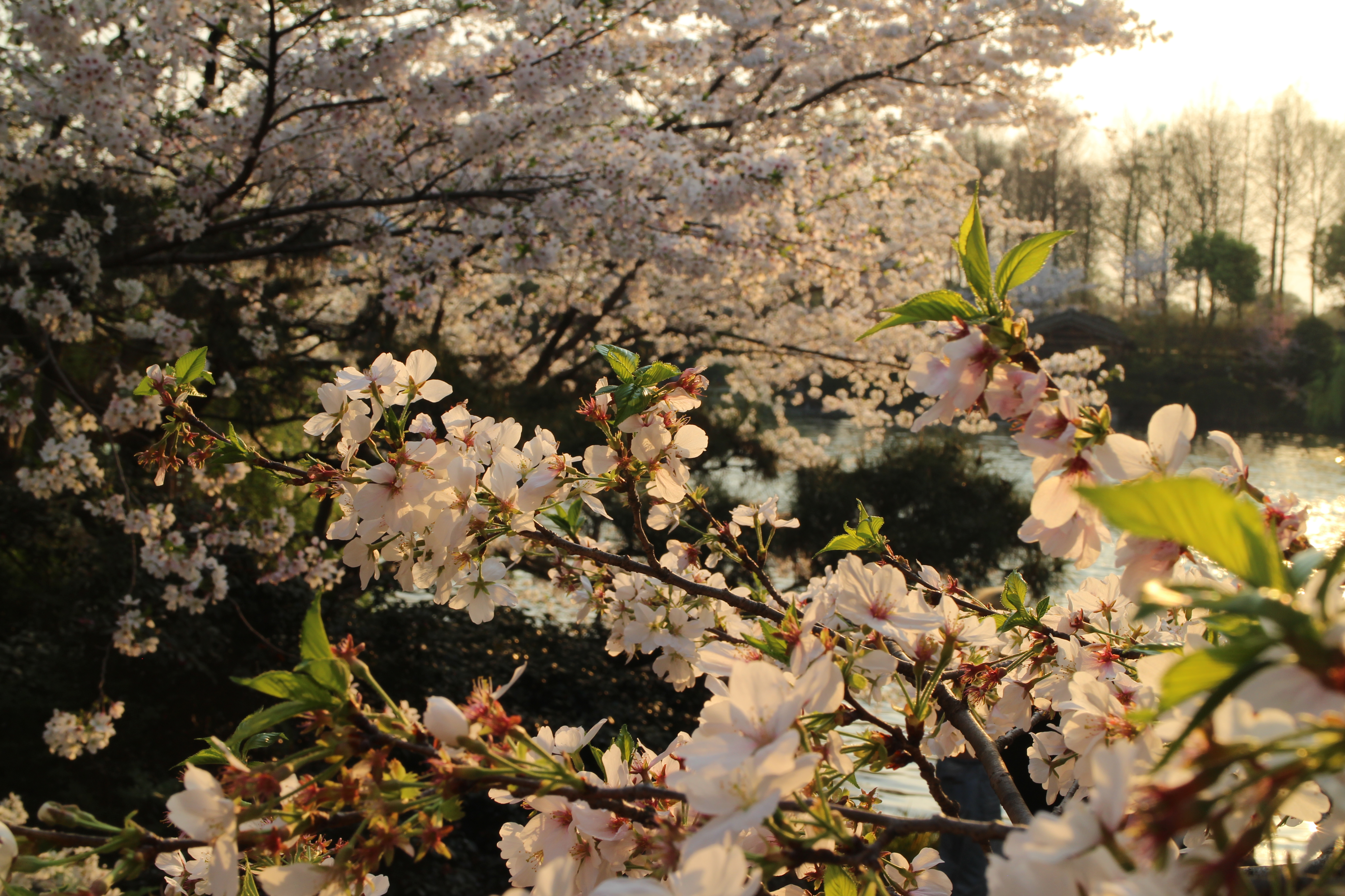 Featured image of post OpenWrt插件推荐与配置